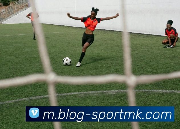 多媒体互动体验