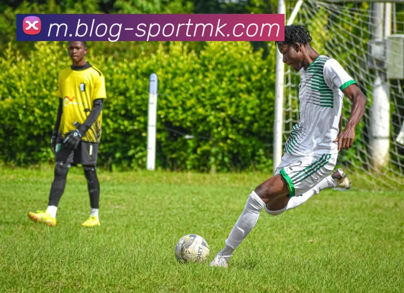 MK体育APP 高清赛事图