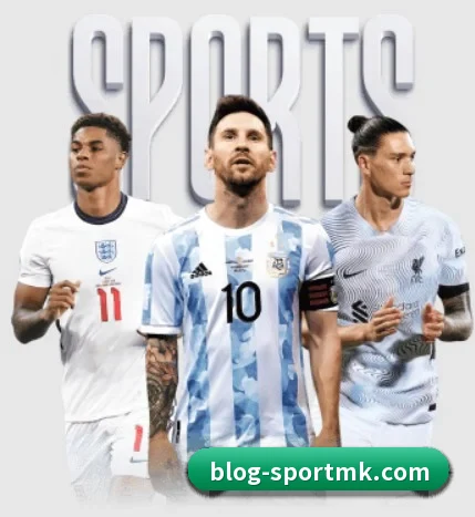 MK体育 APP - mksports