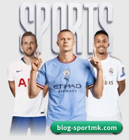 用内容积累长期价值(mksports)